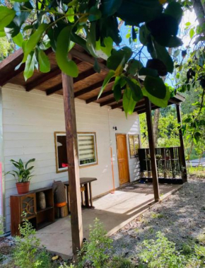 cabaña panguipulli